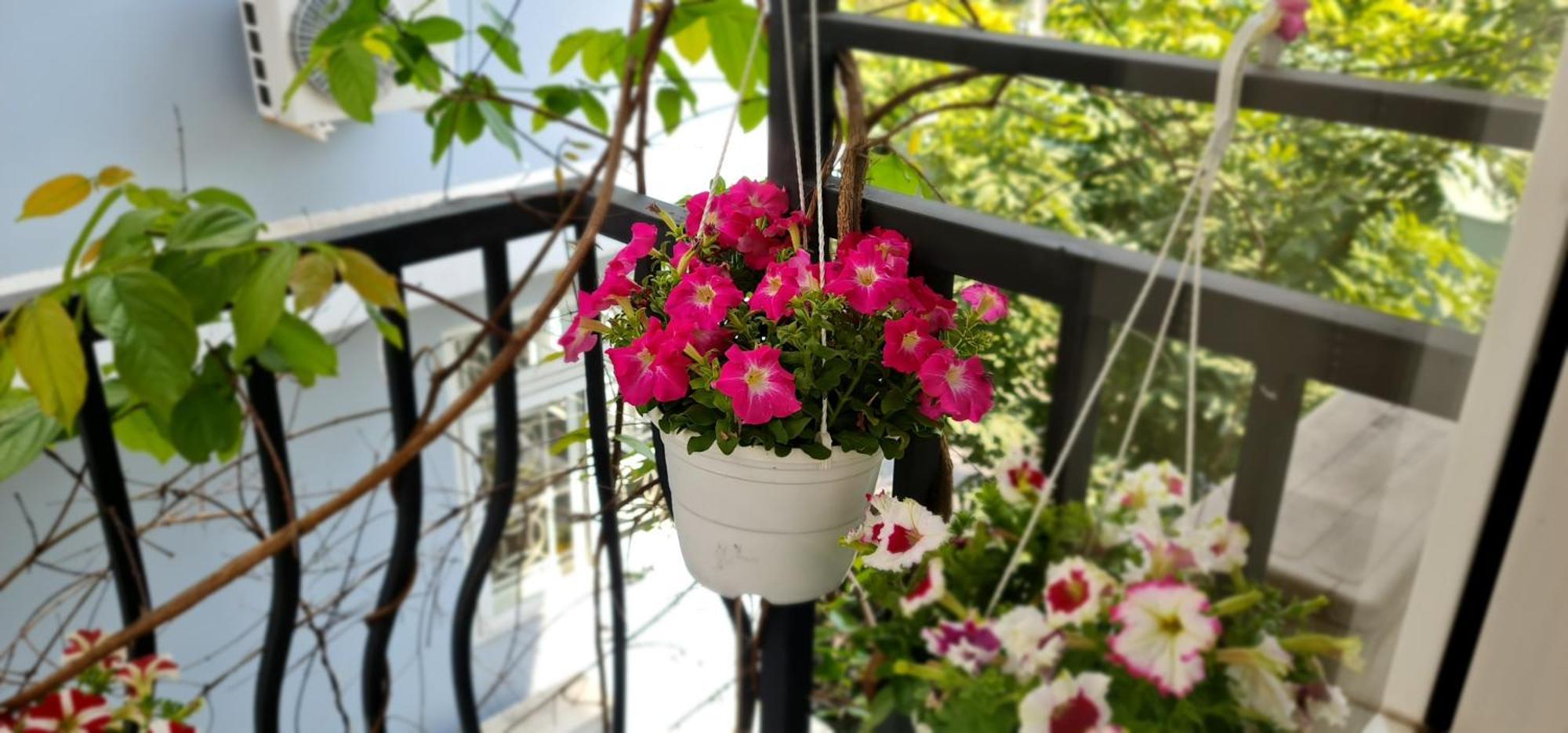 Spring Light Home โฮจิมินห์ซิตี้ ภายนอก รูปภาพ